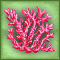 korall_260809.gif