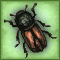 koroed_green1501.gif