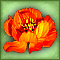 ognevikgreen1009.gif